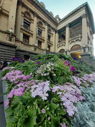 Flowers